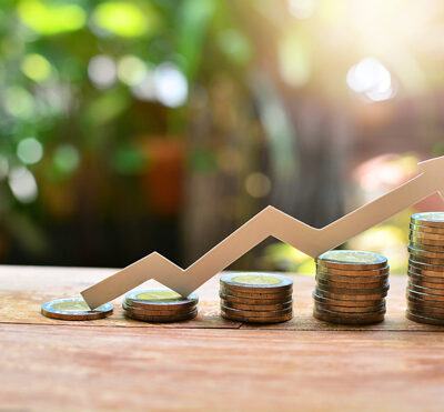 Spreadsheet Portfolio