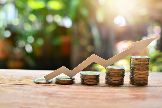 Spreadsheet Portfolio