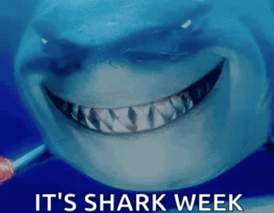Open Season Monday Meme Market