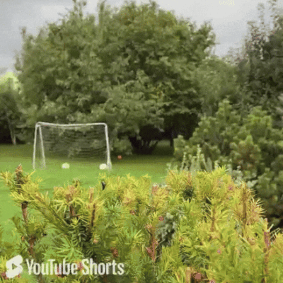 Theory: There's A Shadow Rotation Into $ZEC 🥷