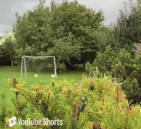 Theory: There's A Shadow Rotation Into $ZEC 🥷