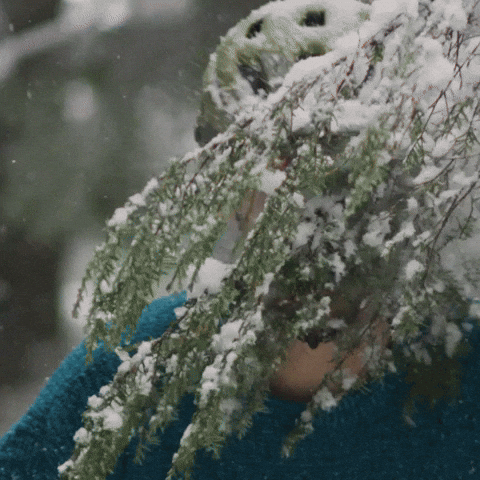 The Beaten-Down Kept Building In 2025 🧱