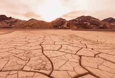 Stocktwits Top 25 Week 3