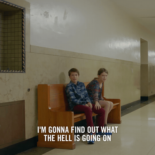 Bulls Are Doing Pushups In The Middle Of The Highway Again 🐂