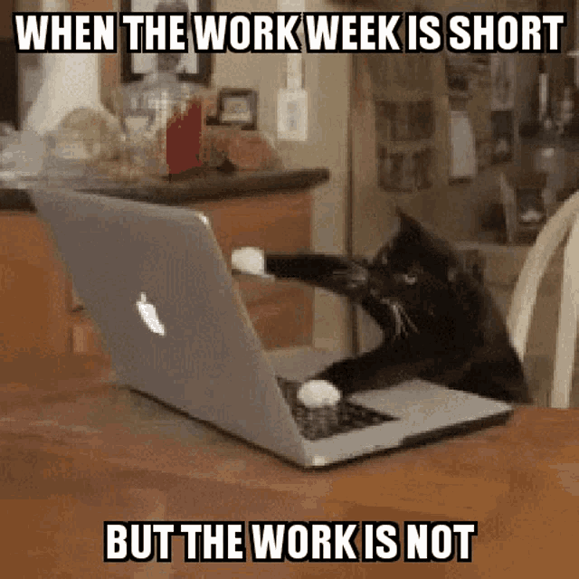 The Weekend Rip: April 20, 2025