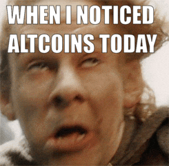 BTC Lost Aggro – Dominance Hits 3 Year Low 🥳