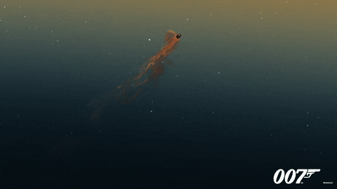 Quantum Of Uncle Sam