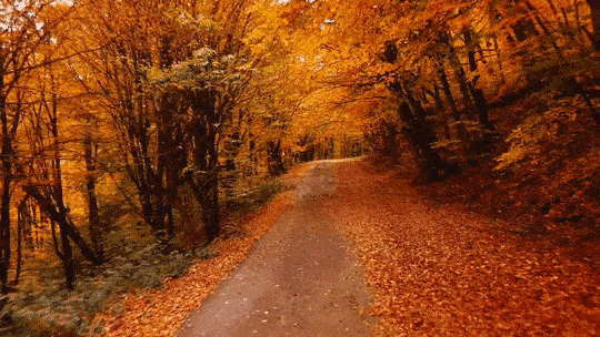 The Weekend Rip: Nov 30, 2025