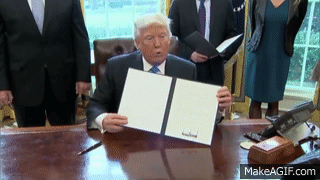 AI: Battle over AI Regulatory Executive Order. RTZ #935