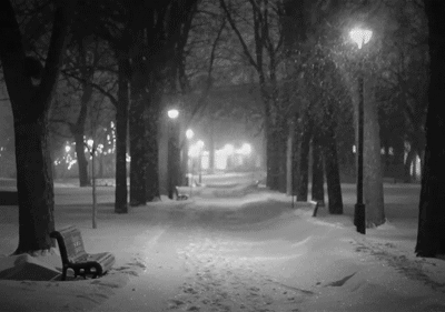 The Weekend Rip: Dec 28