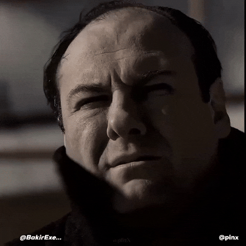 If My Portfolio Were A Horse, The Vet Would've Shot It And Then Shot Me For Making Him Look At It 🐎