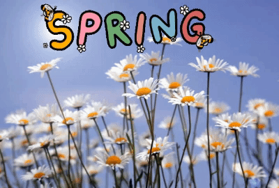 Stocktwits Top 25 Week 13