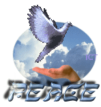 Market Said Give Peace A Chance