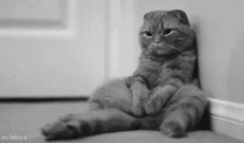 Crypto, Invented To Escape Central Banking, Now Waiting Fed Meeting 🤦